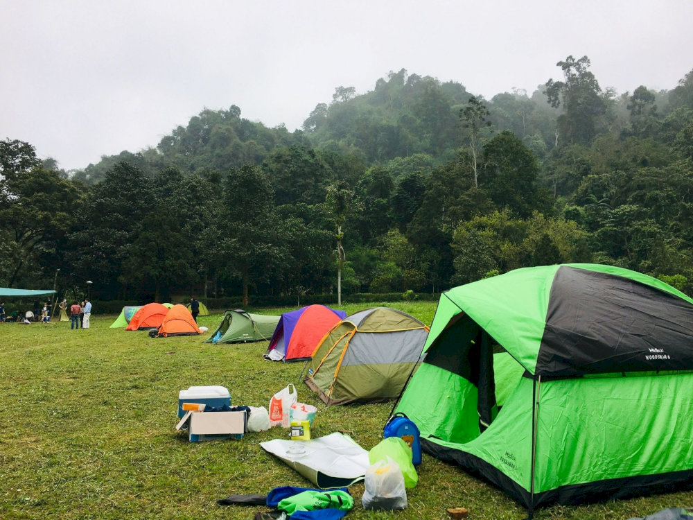 Immerse yourself in the wild nature of Cuc Phuong with the Camping & Wildlife Watching tour